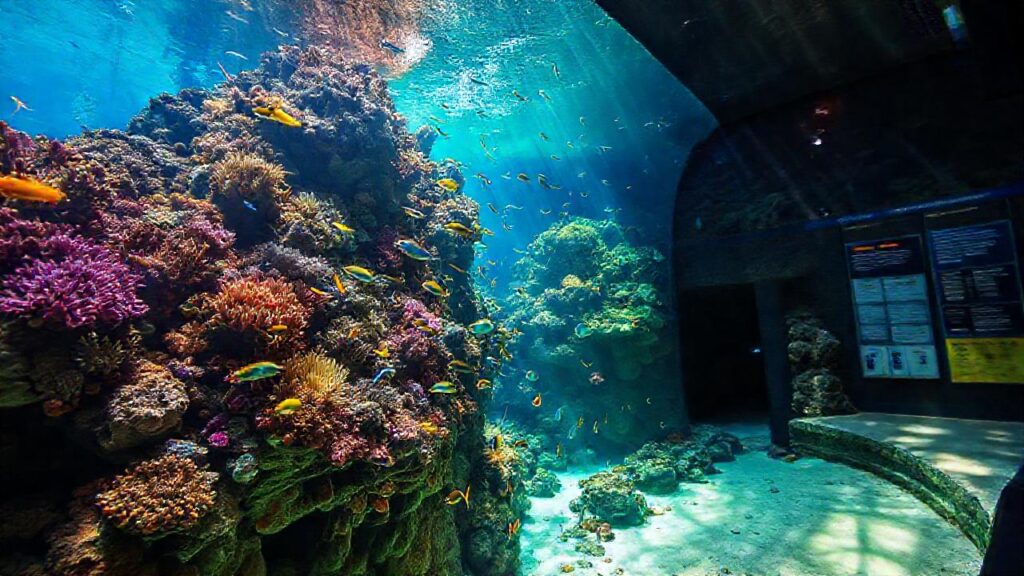 Un acuario tropical muestra vida vibrante