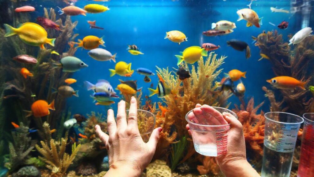 Un acuario tropical educativo y vibrante