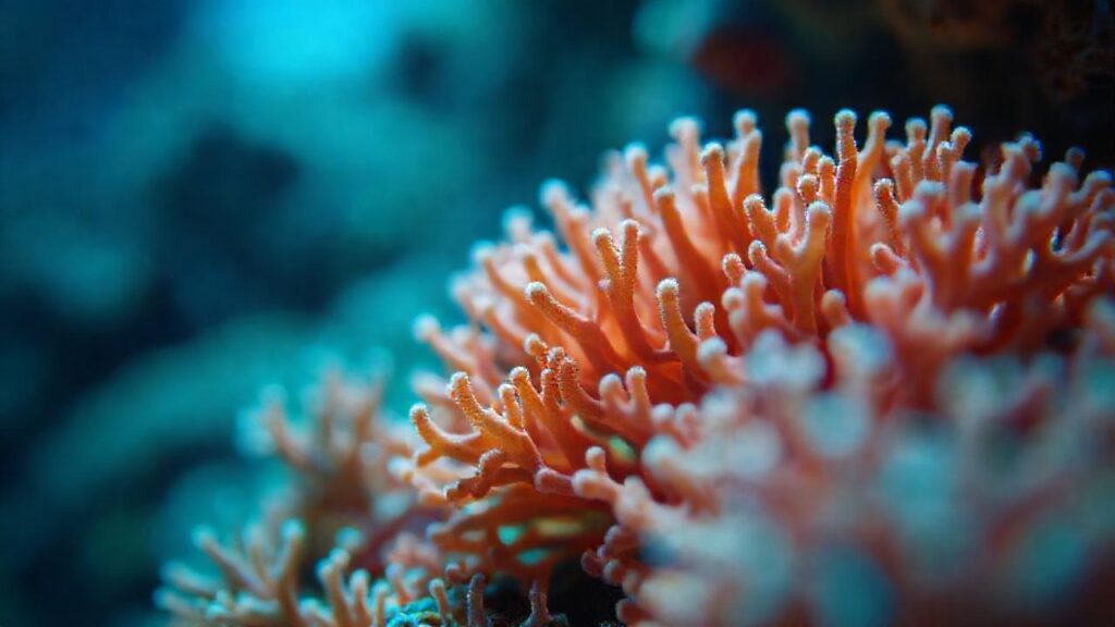 Arrecife de coral: luz vibrante