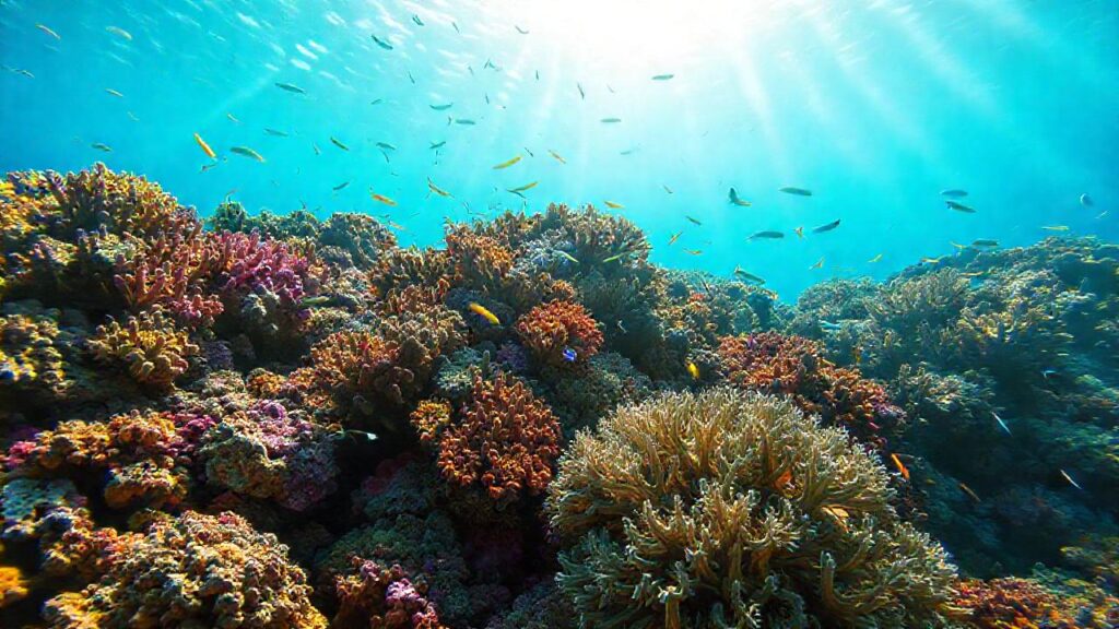 Arrecife de coral: vibrante y realista
