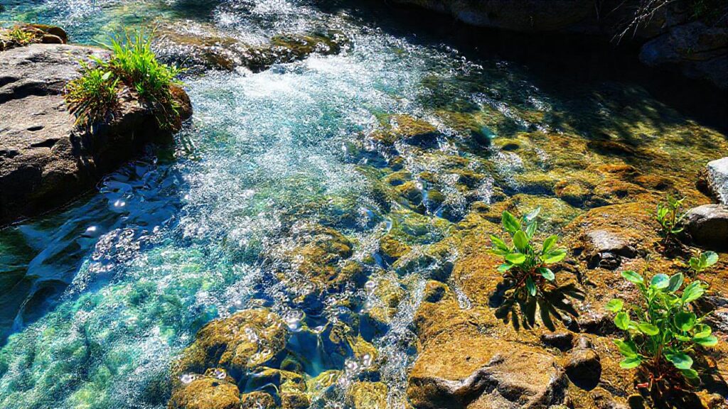 Un arroyo limpio y revitalizante fluye