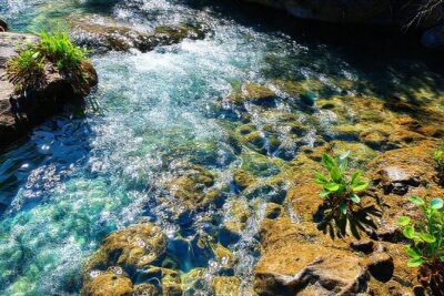 Un arroyo limpio y revitalizante fluye