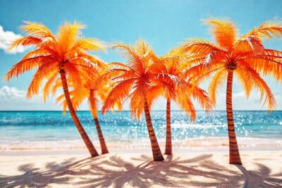 Playa tropical brillante
