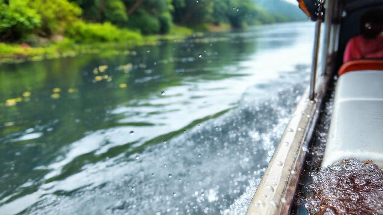 Río tranquilo con brisa refrescante y verde