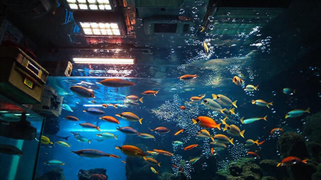 Un acuario brillante y temporalmente impactante