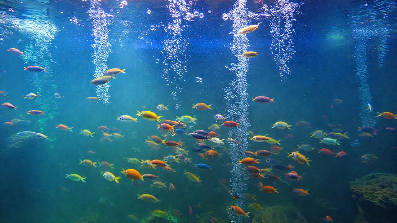 Un acuario vibrante y detallado destaca