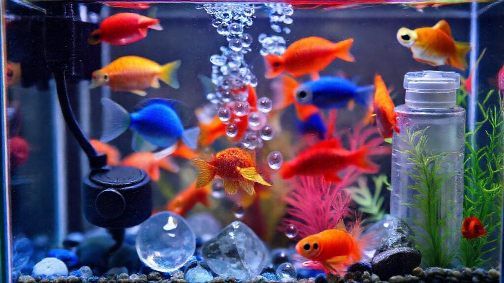 Pequeño acuario con peces vibrantes y serenidad