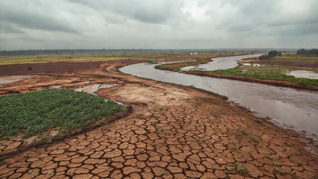La sequía y la contaminación amenazan la vida