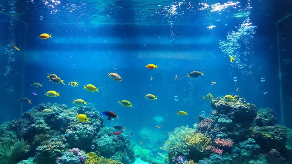 Un acuario tropical vibrante y realista