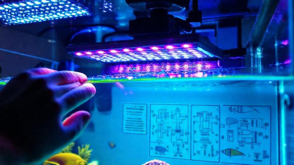 Crea un acuario colorido con luz profesional