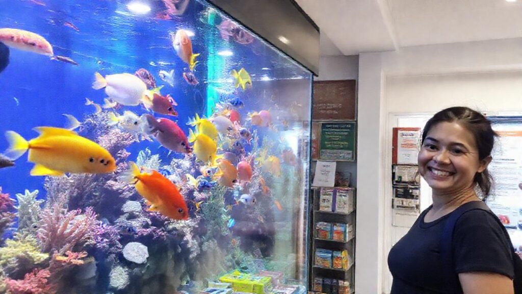 Peces vibrantes decoran tienda limpia y moderna