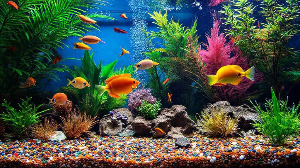 Un acuario tropical vibrante y hermoso